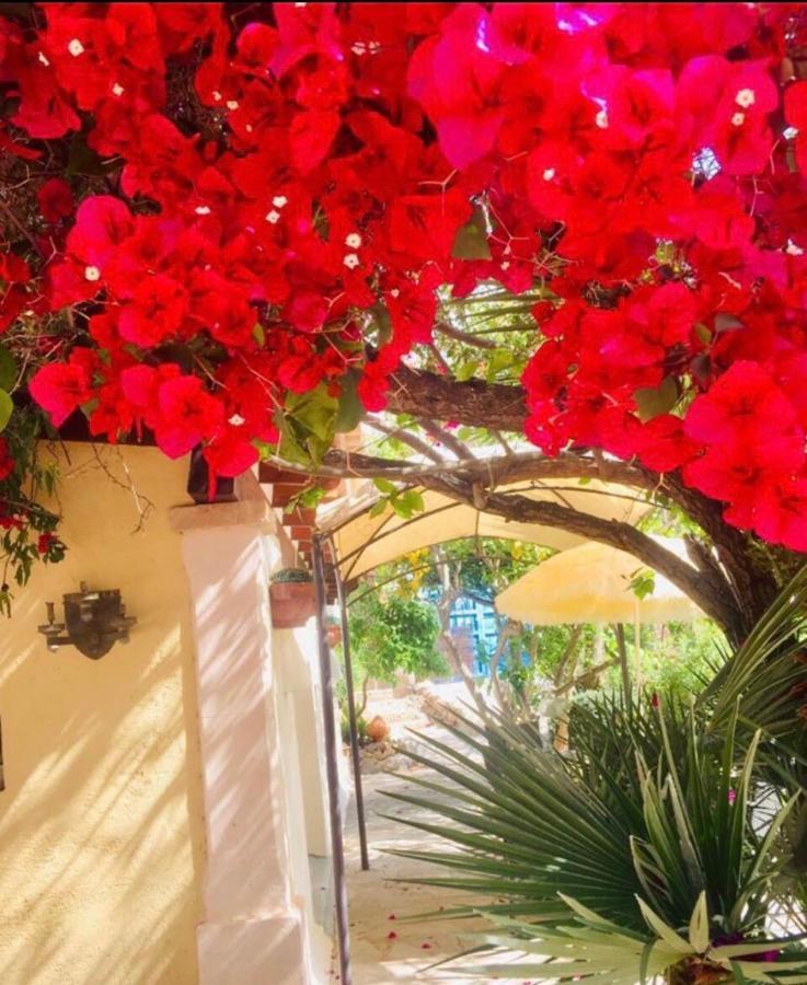 Casita Limon Andratxヴィラ エクステリア 写真