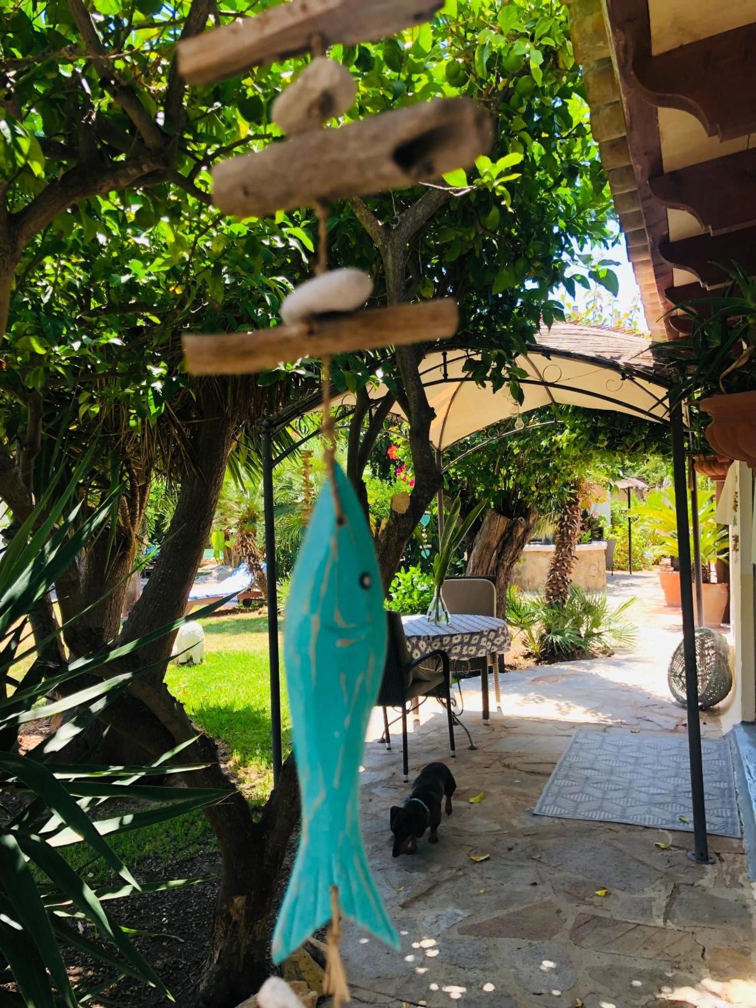 Casita Limon Andratxヴィラ エクステリア 写真