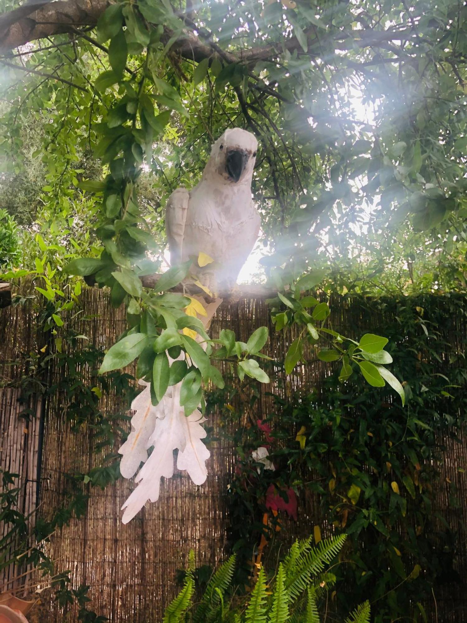 Casita Limon Andratxヴィラ エクステリア 写真