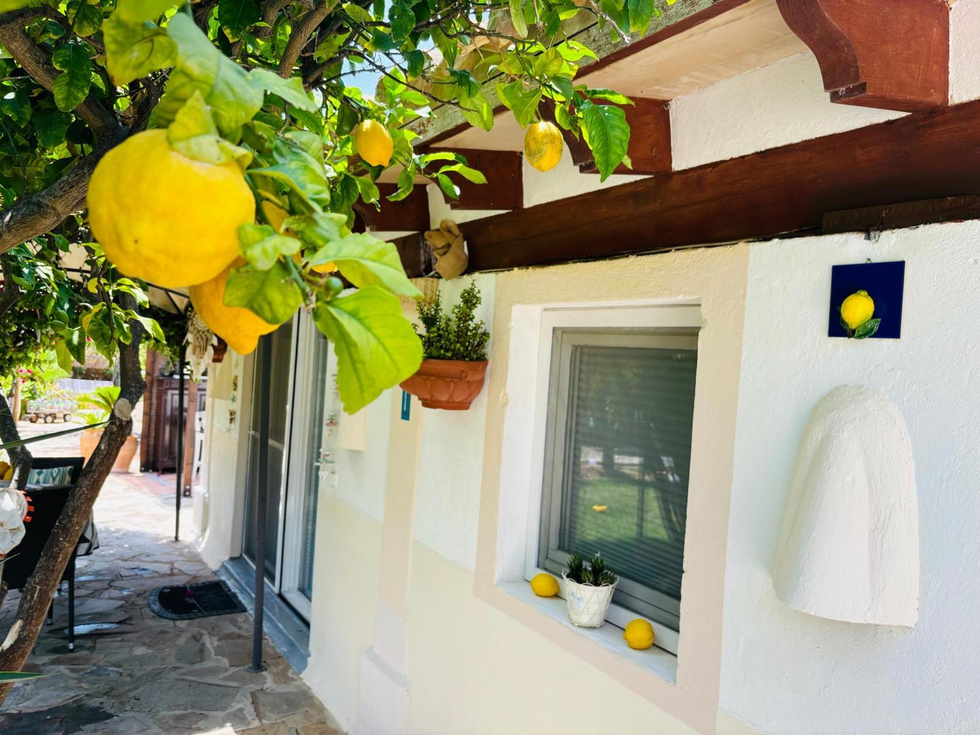 Casita Limon Andratxヴィラ エクステリア 写真