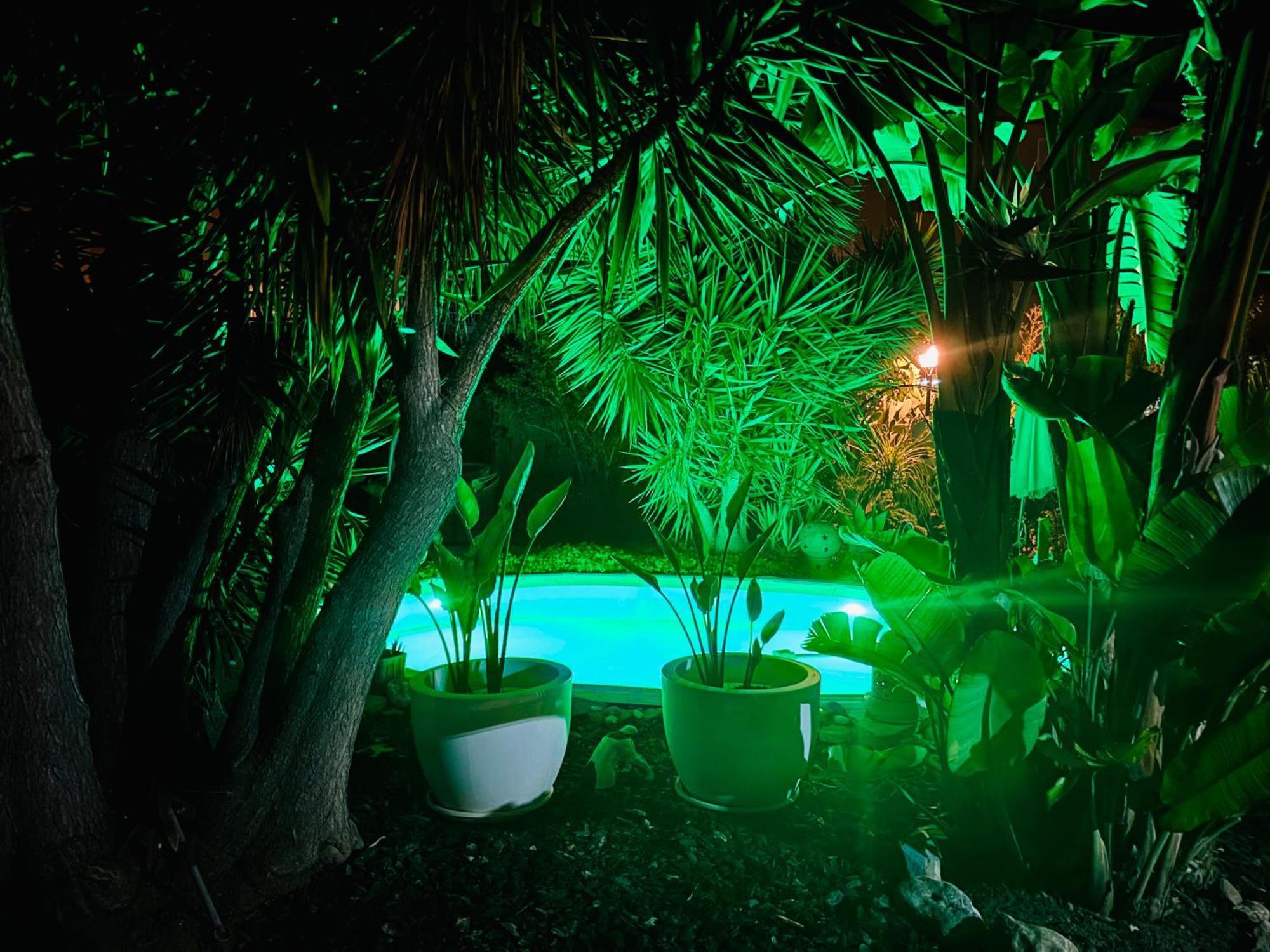 Casita Limon Andratxヴィラ エクステリア 写真