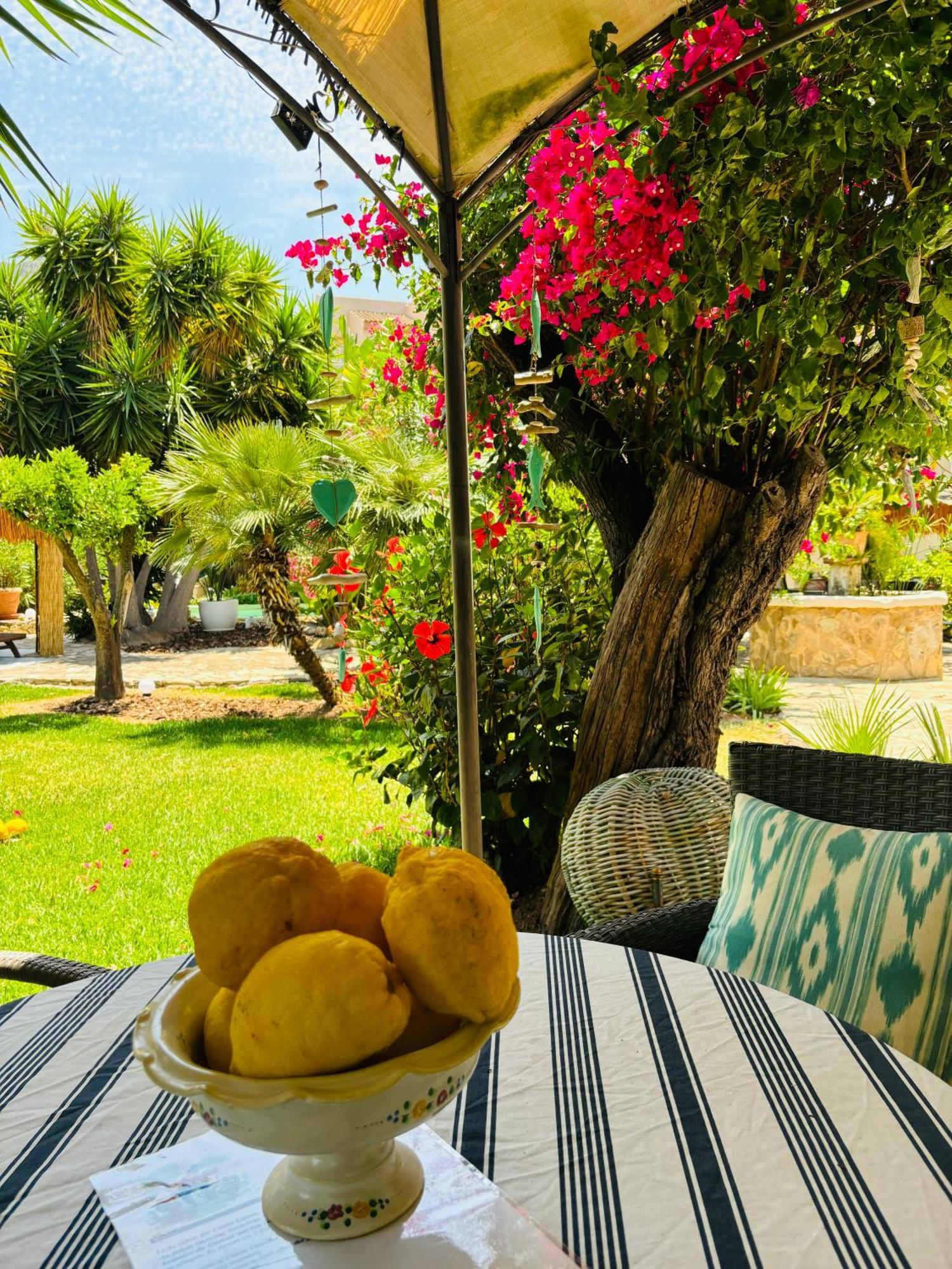 Casita Limon Andratxヴィラ エクステリア 写真